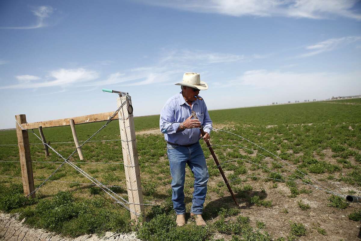 Jack Mitchell closes a gate that was left open on one of the fields at his ranch in Alpaugh, CA, Thursday, March 20, 2014. Farmer Jack Mitchell has sold about 2000 acres of his ranch to the Atwell Island Sanctuary which, through the Bureau of Land Management, is turning former farm land in the San Joaquin Valley back to it's natural pre-agriculture state.