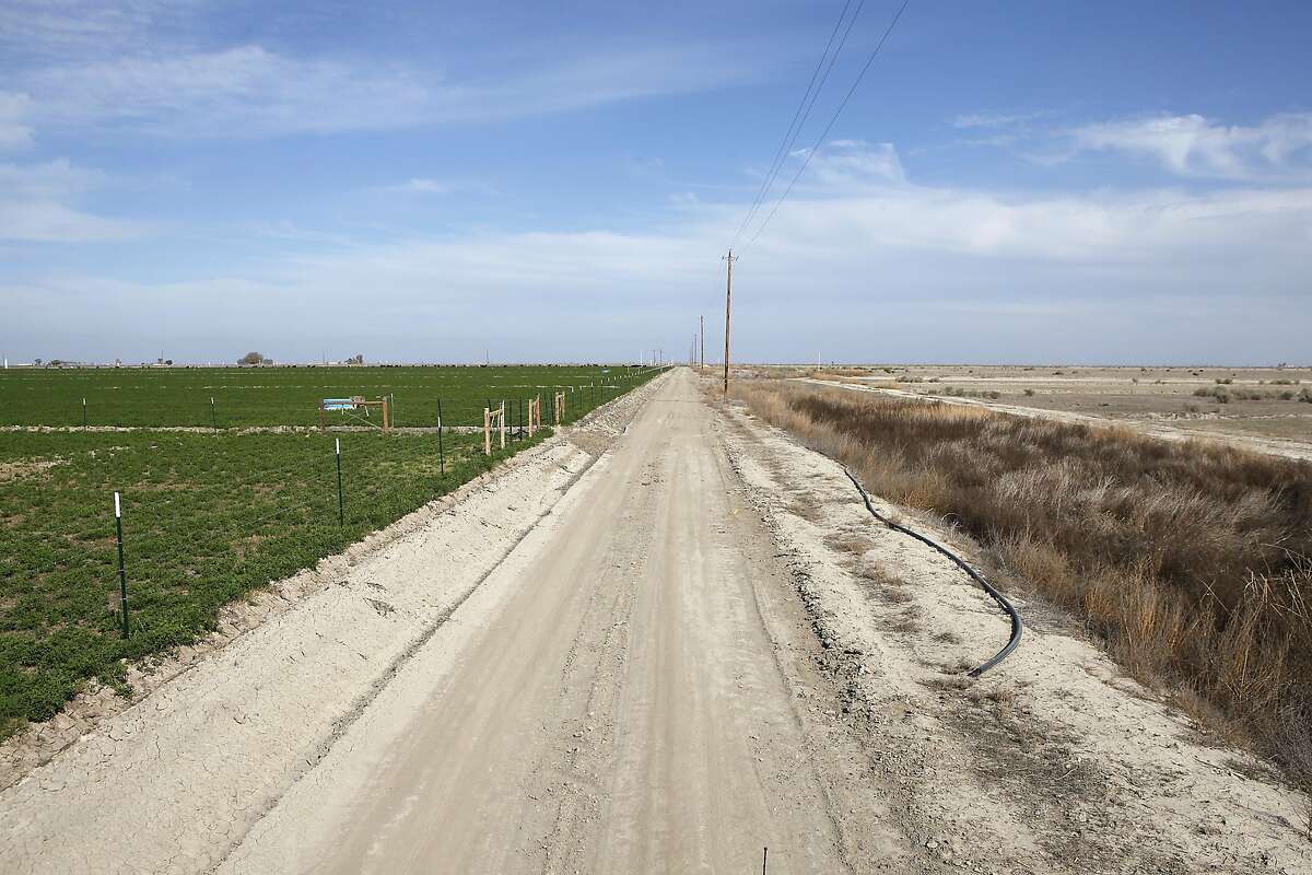 At left, Alfalfa grows in a field across the road from a natural plant field on land that was sold by farmer Jack Mitchell to the Atwell Island Sanctuary in Alpaugh, CA, Thursday, March 20, 2014. Farmer Jack Mitchell has sold about 2000 acres of his ranch to the Atwell Island Sanctuary which, through the Bureau of Land Management, is turning former farm land in the San Joaquin Valley back to it's natural pre-agriculture state.