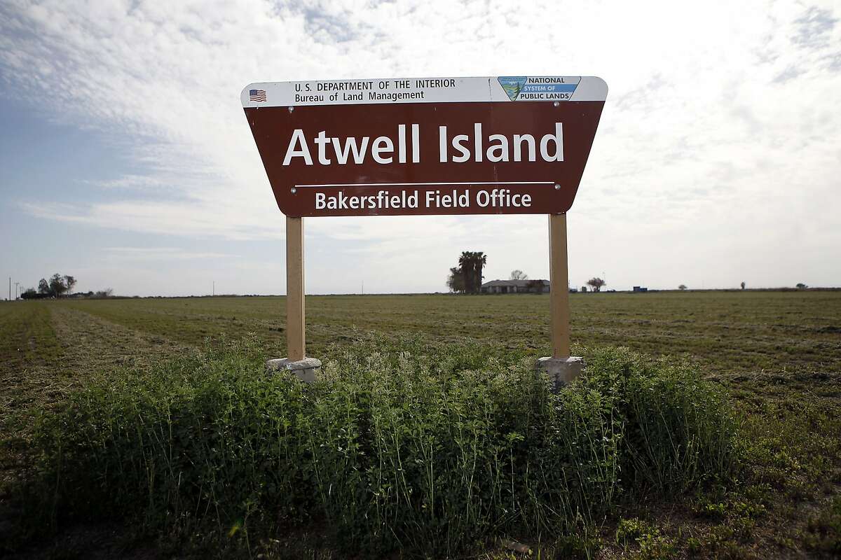 The Atwell Island Sanctuary sits on farm land that was sold to the sanctuary by local farmer Jack Mitchell, in Alpaugh, CA, Thursday, March 20, 2014. Farmer Jack Mitchell has sold about 2000 acres of his ranch to the Atwell Island Sanctuary which, through the Bureau of Land Management, is turning former farm land in the San Joaquin Valley back to it's natural pre-agraculture state.