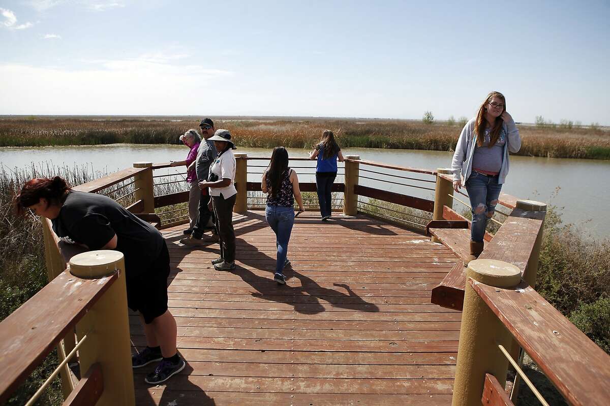 Biology students from nearby Alpaugh High School look out from an observation platform while visiting the Atwell Island Sanctuary's man made wetlands area in Alpaugh, CA, Thursday, March 20, 2014. Farmer Jack Mitchell has sold about 2000 acres of his ranch to the Atwell Island Sanctuary which, through the Bureau of Land Management, is turning former farm land in the San Joaquin Valley back to it's natural pre-agraculture state.