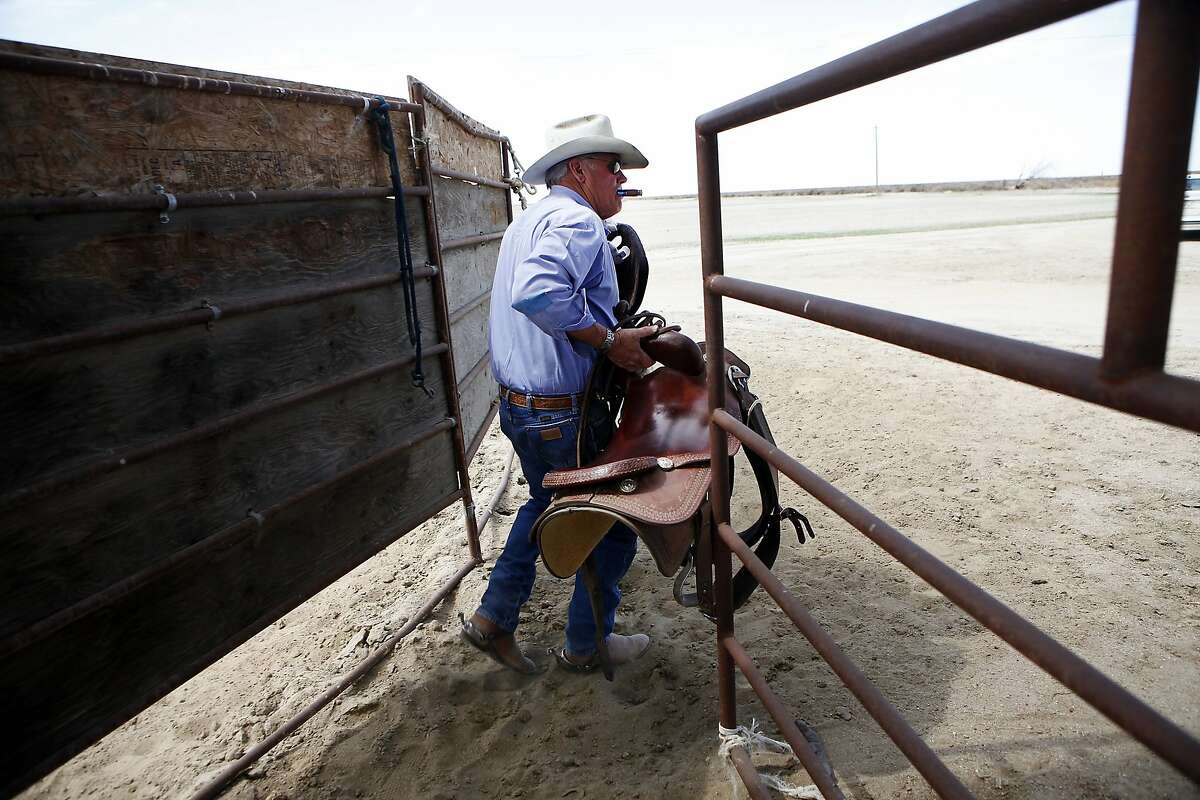 Farmer Jack Mitchell carries his saddle to the tack room after moving cattle on his ranch in Alpaugh, CA, Thursday, March 20, 2014. Farmer Jack Mitchell has sold about 2000 acres of his ranch to the Atwell Island Sanctuary which, through the Bureau of Land Management, is turning former farm land in the San Joaquin Valley back to it's natural pre-agraculture state.