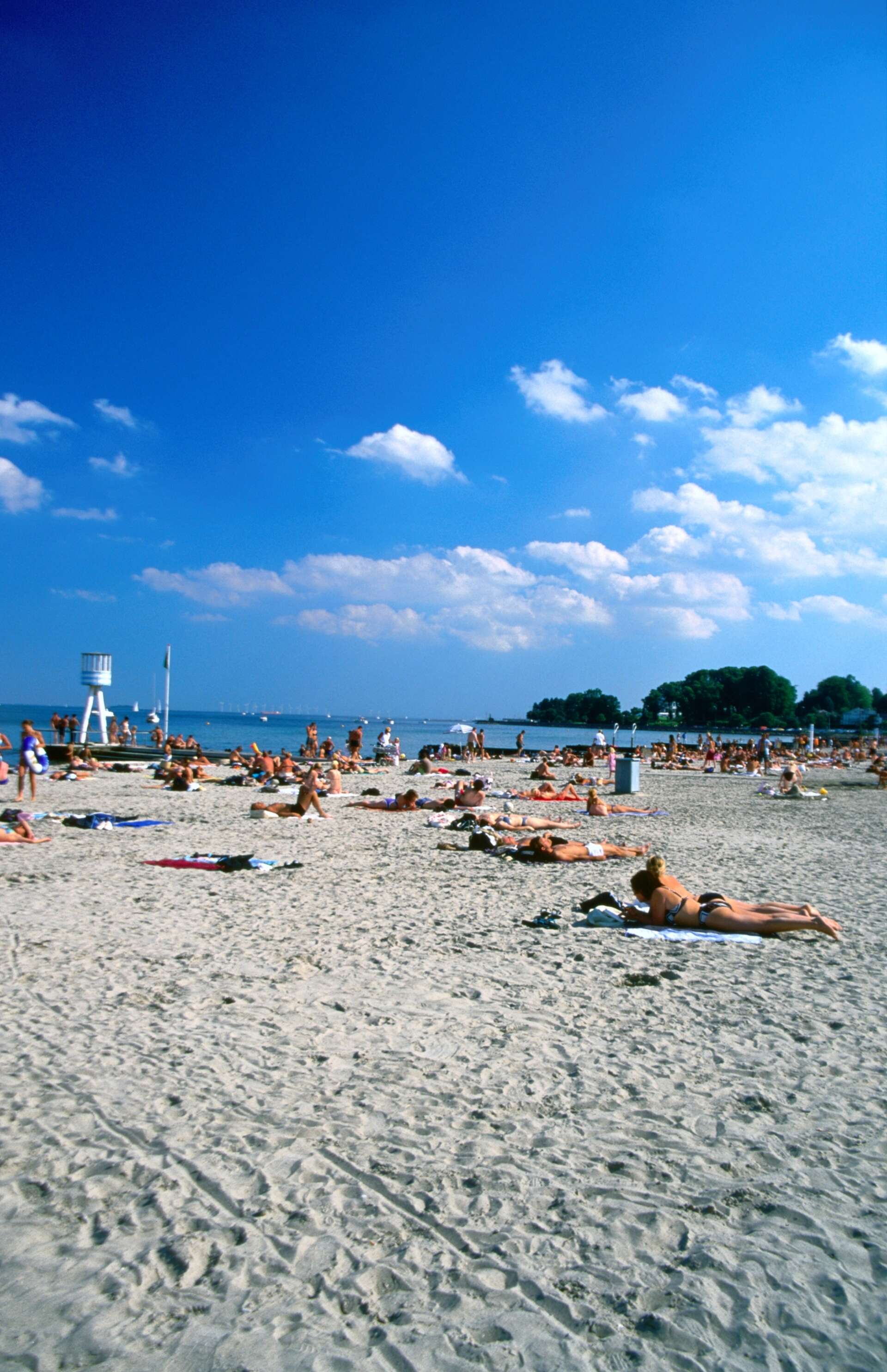 Nude Beach in Galveston: A Complete Guide to Sun, Sea, and Liberation