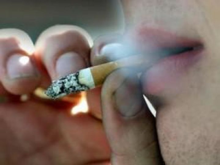 winston select cigarettes Winston Red Delivered Near You