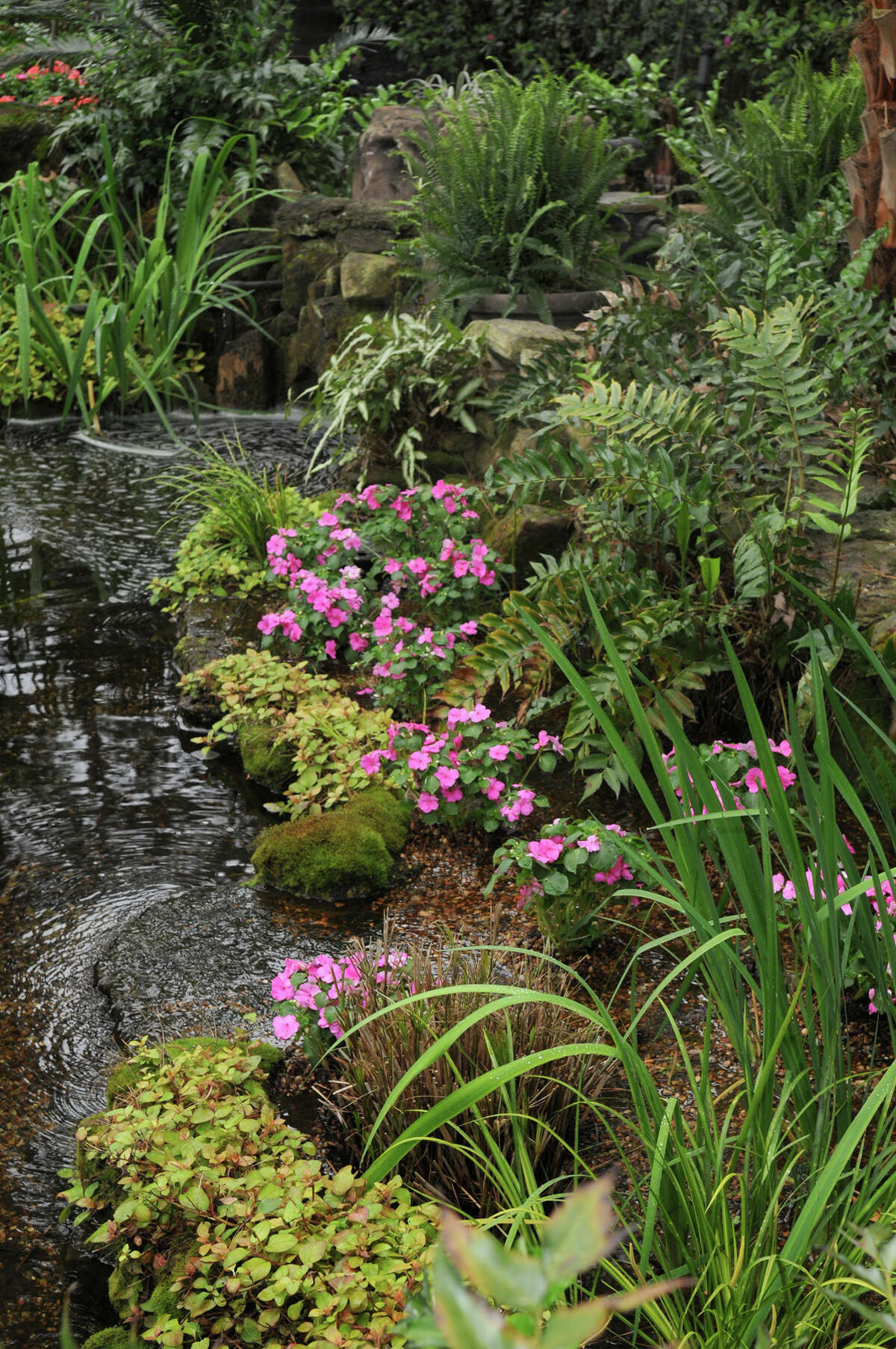 Tour showcases four elegant Kingwood gardens