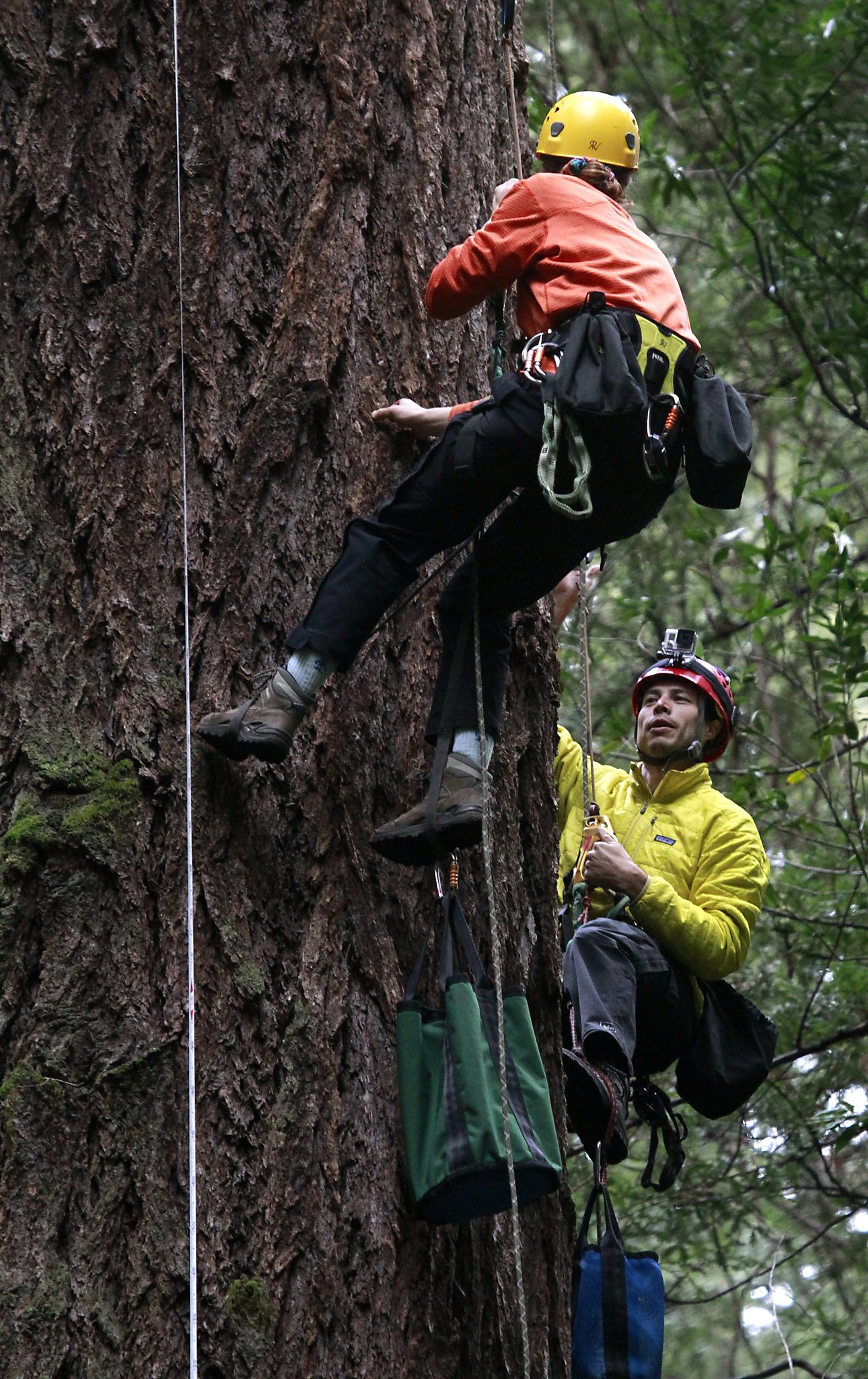 Teams tally biological oddities on Bay Area's federal land