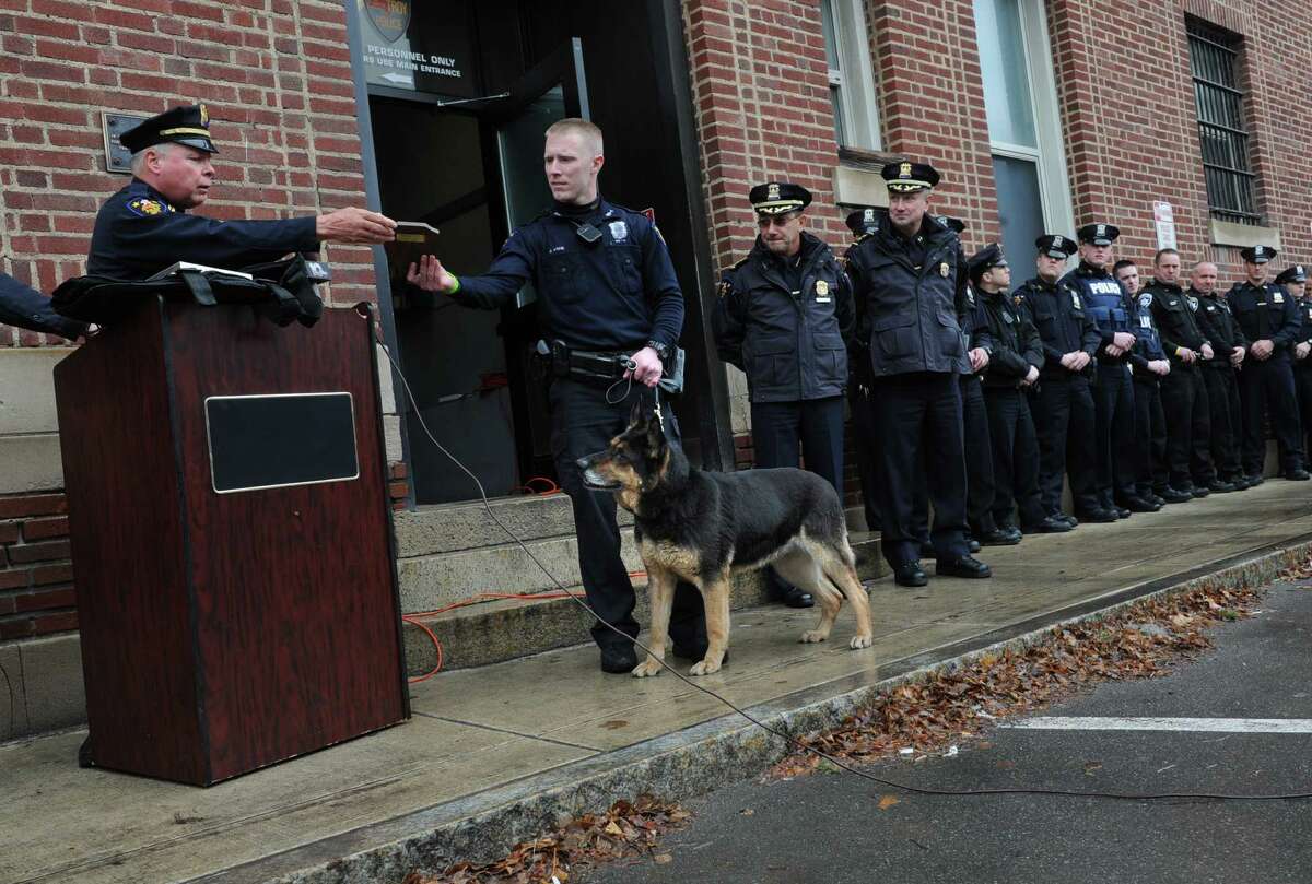 Troy police need a new cat after 1st falls ill