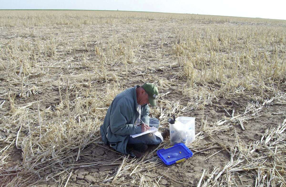 In this photo taken April 16, 2008, and provided by the U.S. Geological Survey, geologist Jim Kilburn, now retired from the U.S. Geological Survey, collects soil from Kansas. The federal government sent students and scientists to more than 4,800 places across the nation to collect soil that was analyzed for its composition. The results are now highly sought after by researchers in a wide variety of fields. (AP Photo/U.S. Geological Survey)