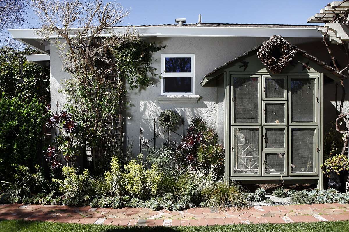 A large bird house stands next to drought resistant plants that are planted with a focus on texture, shape and form in the garden of author and landscape designer Rebecca Sweet at her home in Los Altos, CA, Thursday, March 13, 2014.