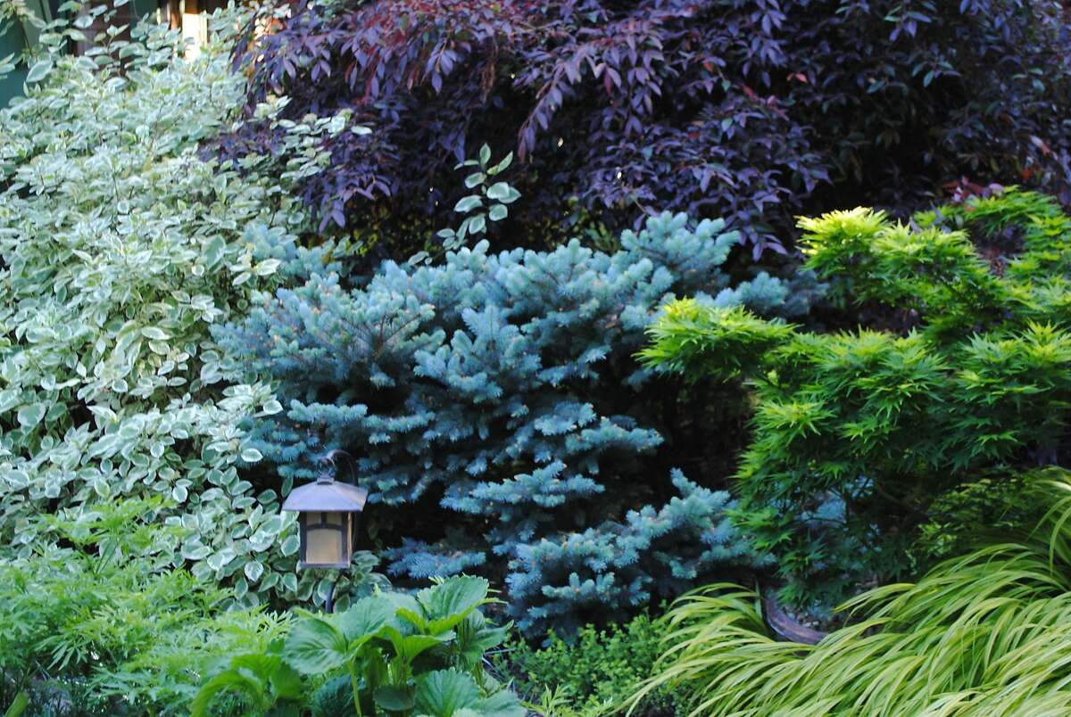 Some easy ways to revive your garden