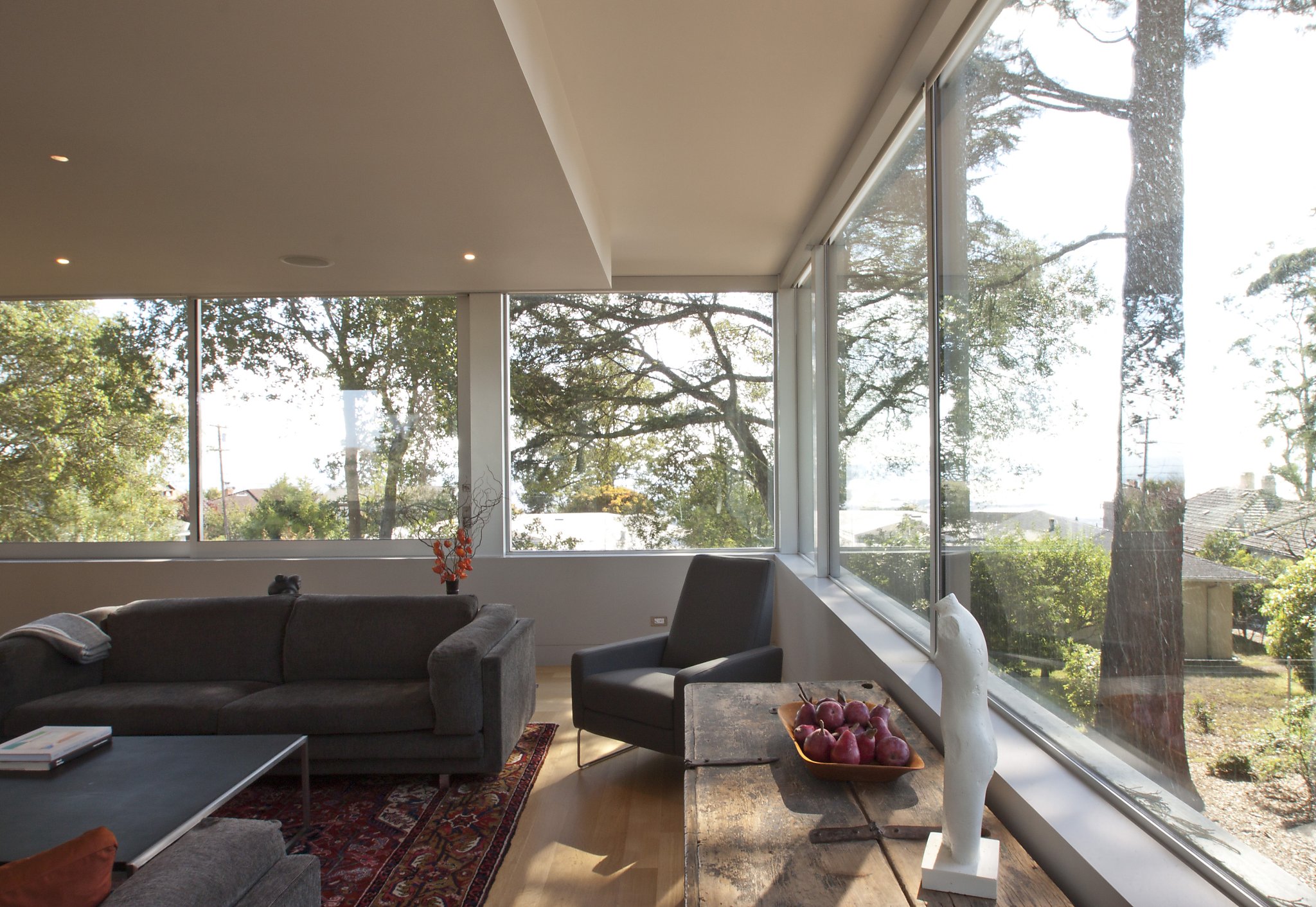 Modern 'Swiss Family Robinson' tree house in Berkeley - SFGate