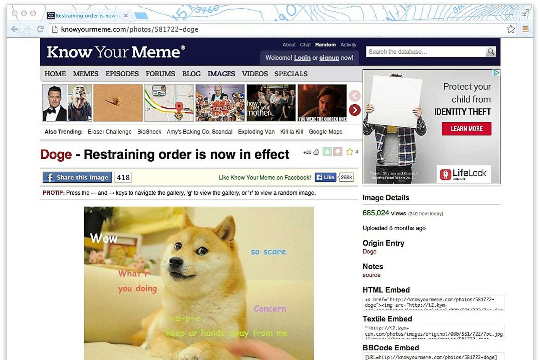 How memes have developed strict design rules