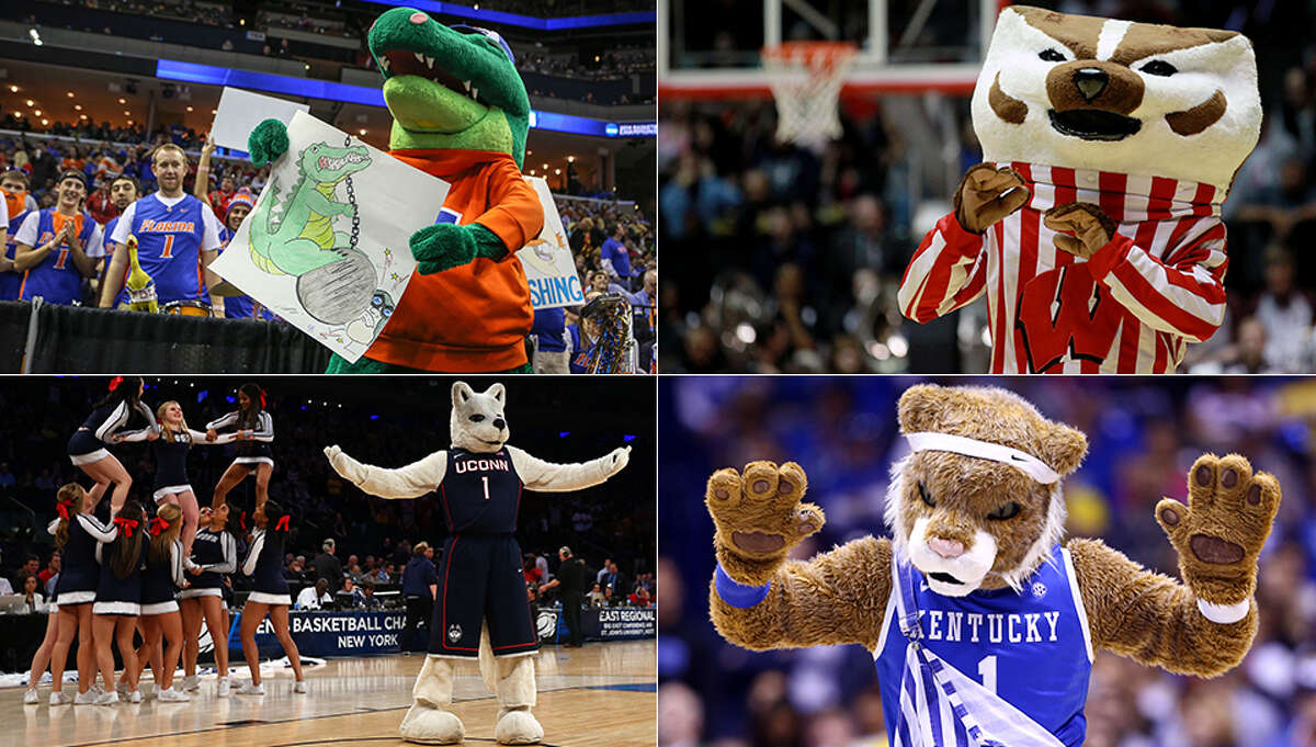 The Gator Chomp and Bucky Badger are headed to North Texas, along with Jonathan the Husky and Coach Cal.College basketball's biggest event at AT&T Stadium in Arlington is finally set after Connecticut and Kentucky punched their tickets with regional victories Sunday. Express-News college basketball writer Tim Griffin looks at some of the notable trends heading into Saturday's semifinal games: