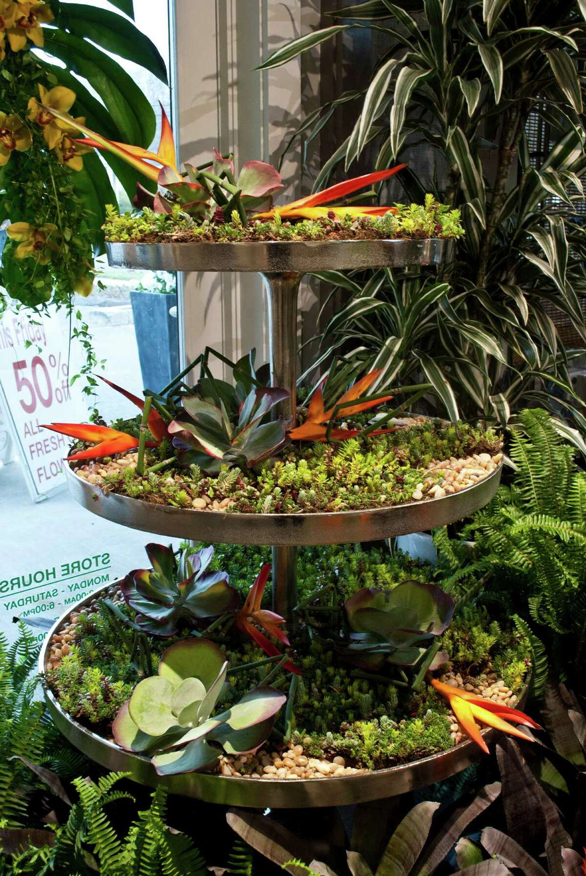 Nielsen's Florist and Garden Shop in Darien held a flower show to celebrate their 70 year anniversary of being in business from April 4-6.