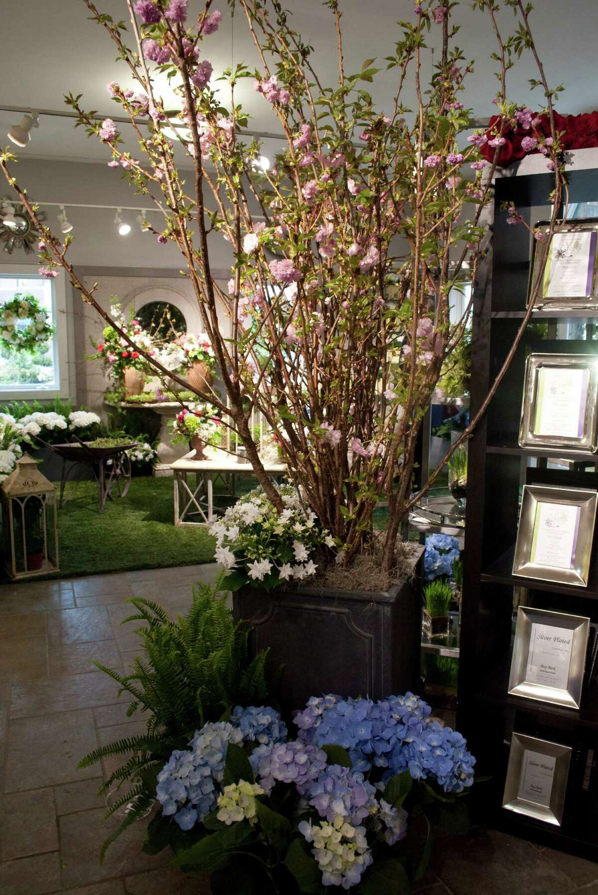 Nielsen's Florist and Garden Shop in Darien held a flower show to celebrate their 70 year anniversary of being in business from April 4-6.