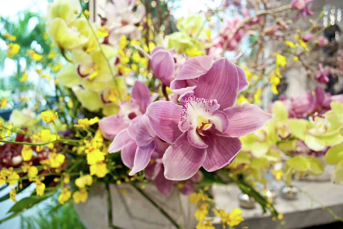 Nielsen's Florist and Garden Shop in Darien held a flower show to celebrate their 70 year anniversary of being in business from April 4-6.
