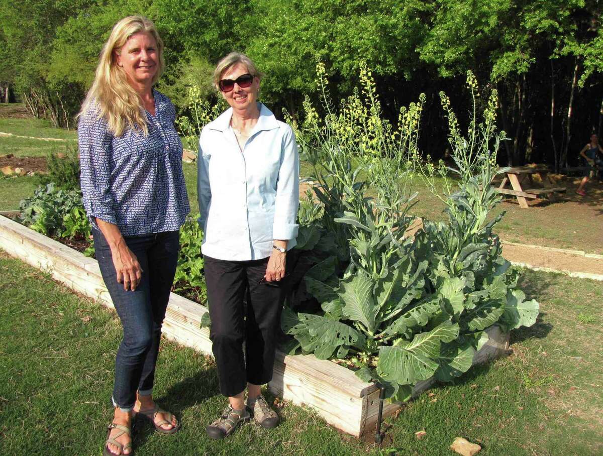 ABOVE: Karla Toye, left, and Linda Hallstead are two of many volunteers who tend to the Alamo Heights community garden. AT LEFT: This architectural rendering shows a shade structure for the garden.