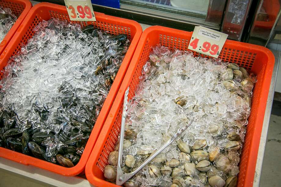 Basa Seafood Express in S.F. Terrific fresh fish SFGate