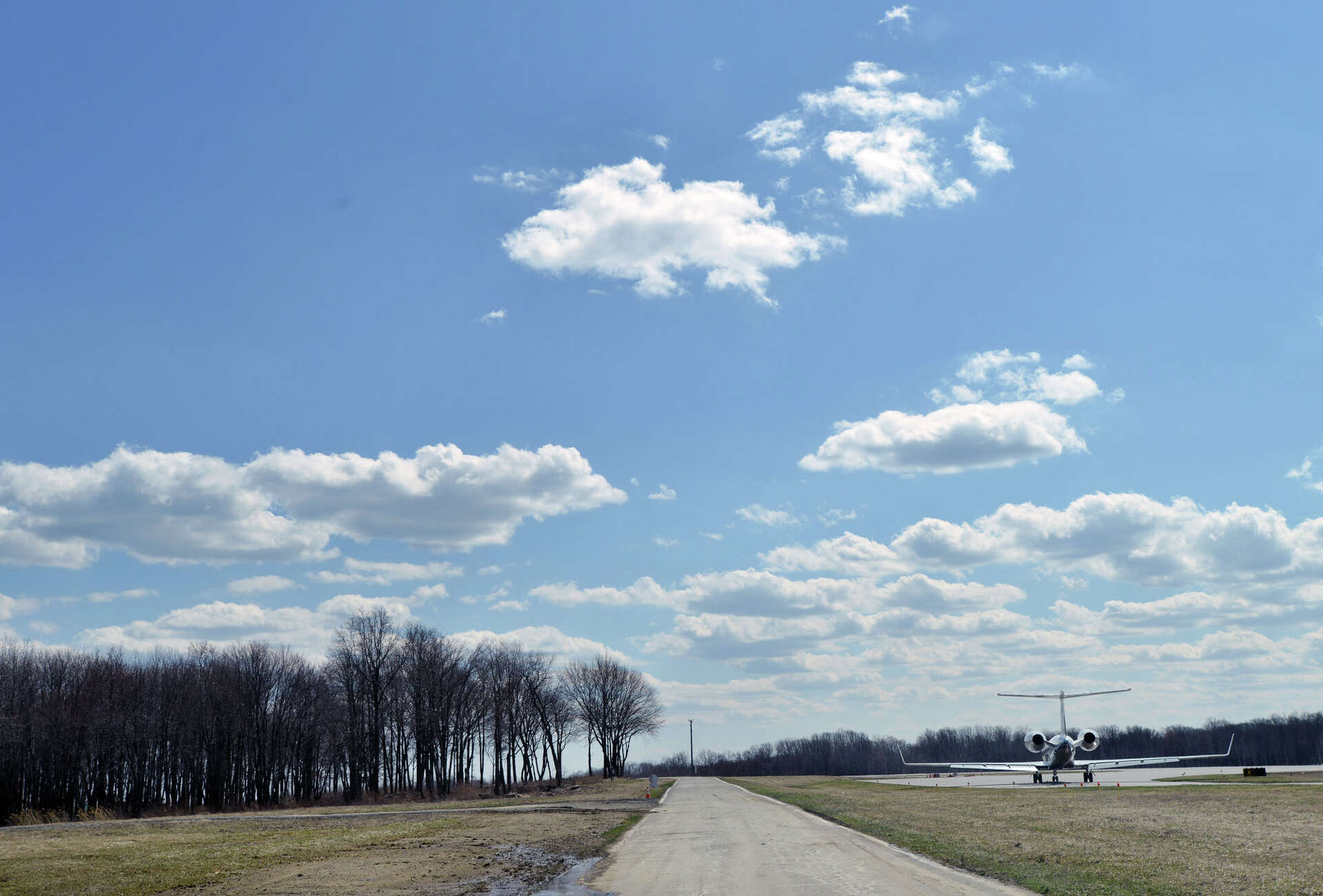 Trees return as Westchester airport issue