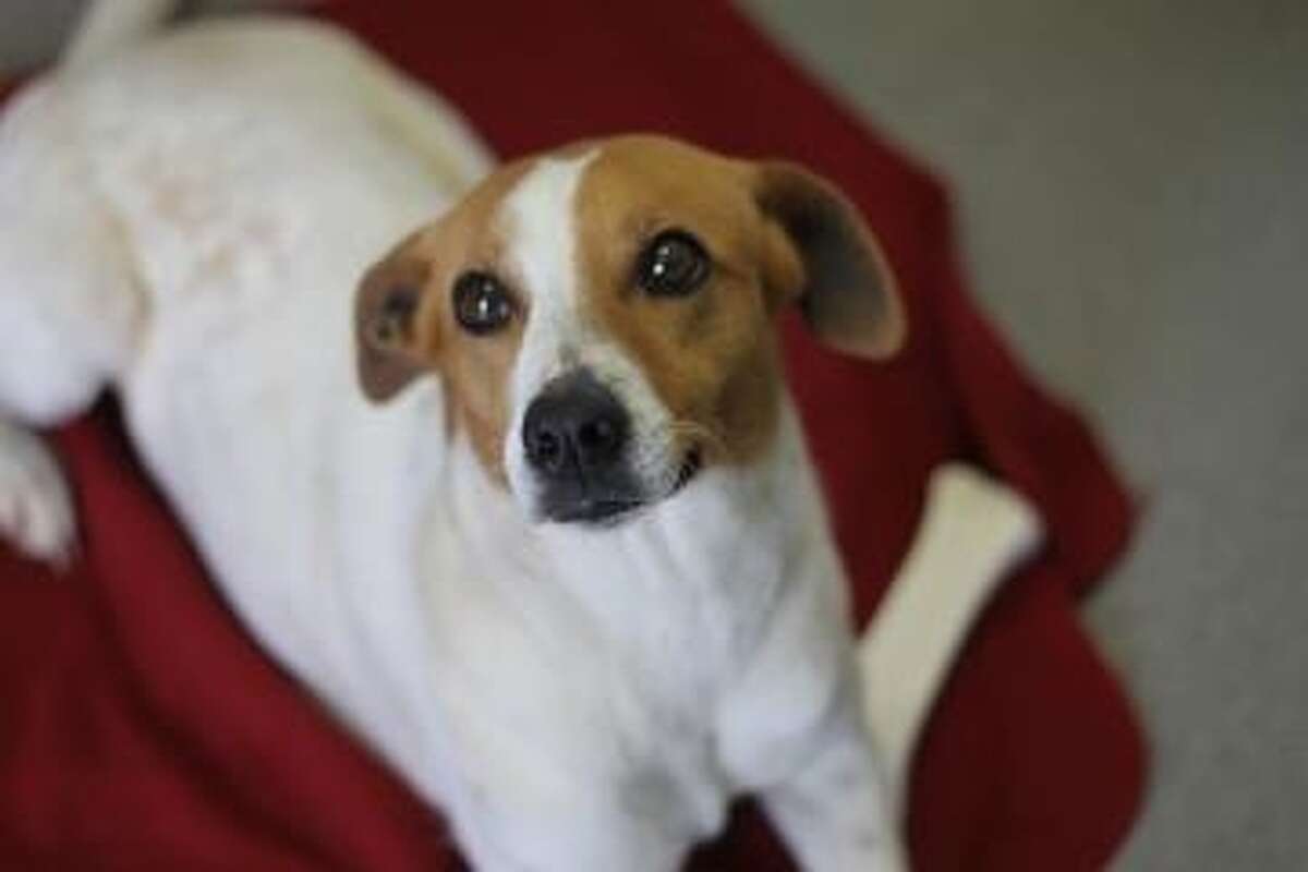 10 weird tax deductions