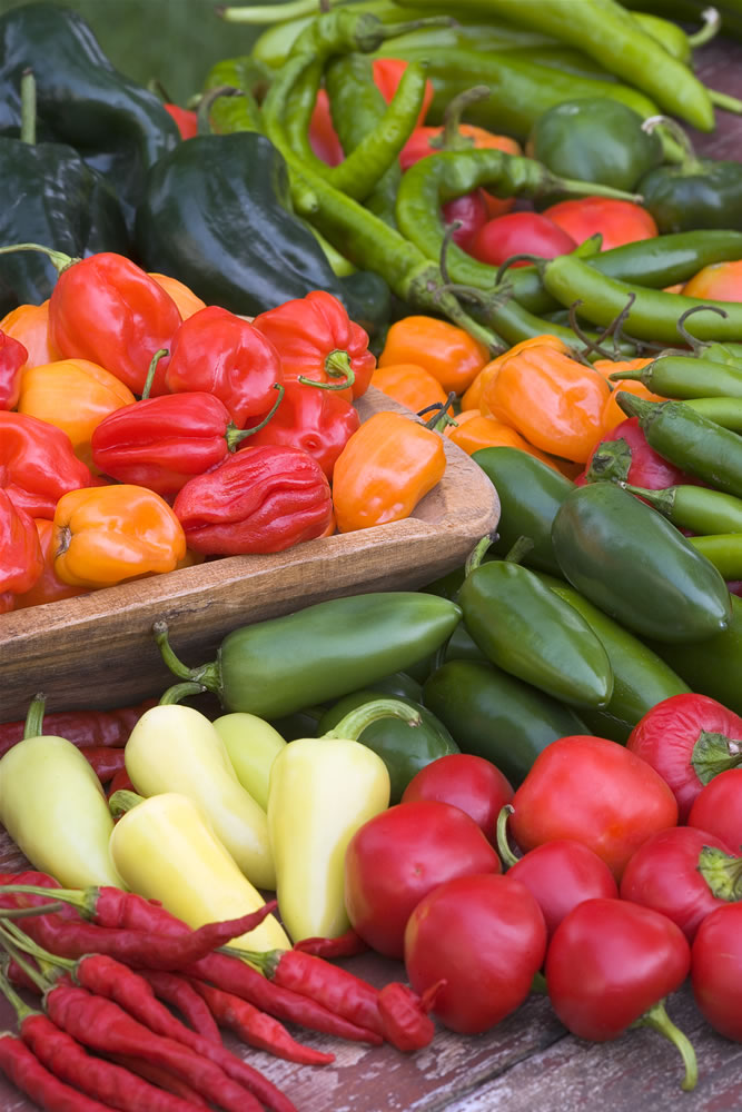 Gene Speller Knows His Peppers