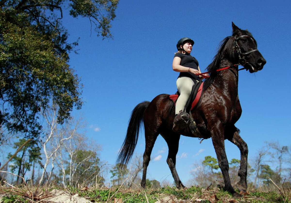 The Texas Rangers; The Story of the Hard-Riding, Fearless Men who