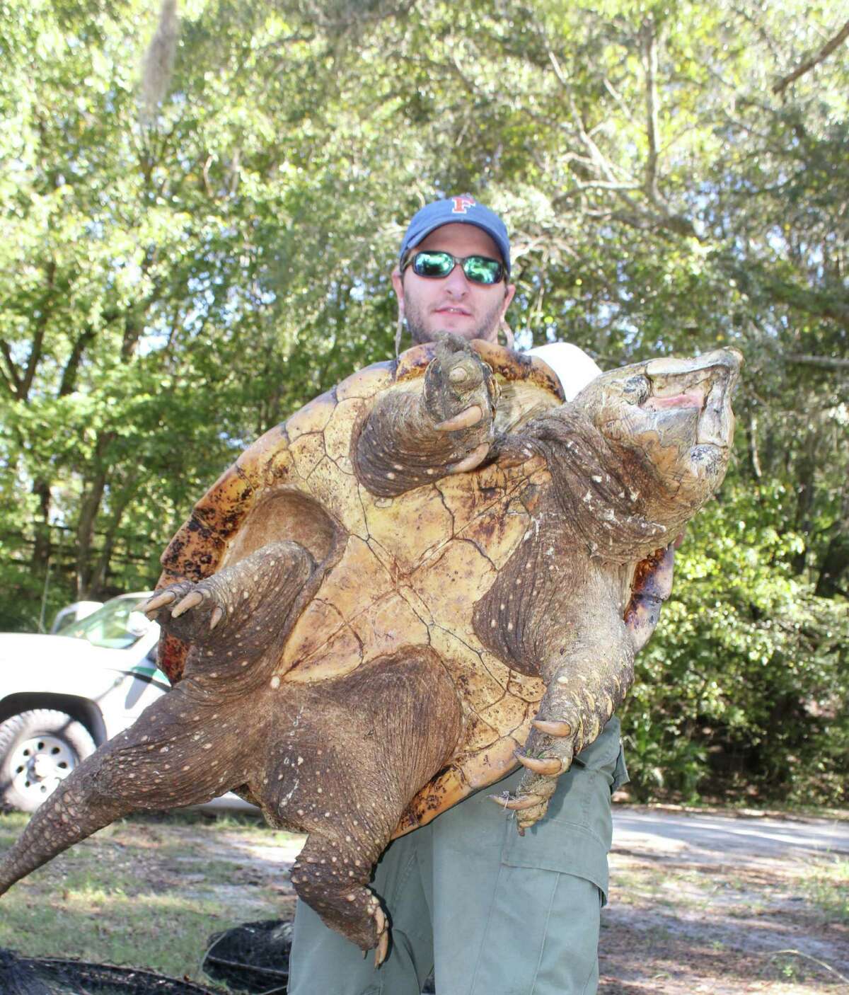 Extremely rare Texas dino turtle even more endangered than first thought