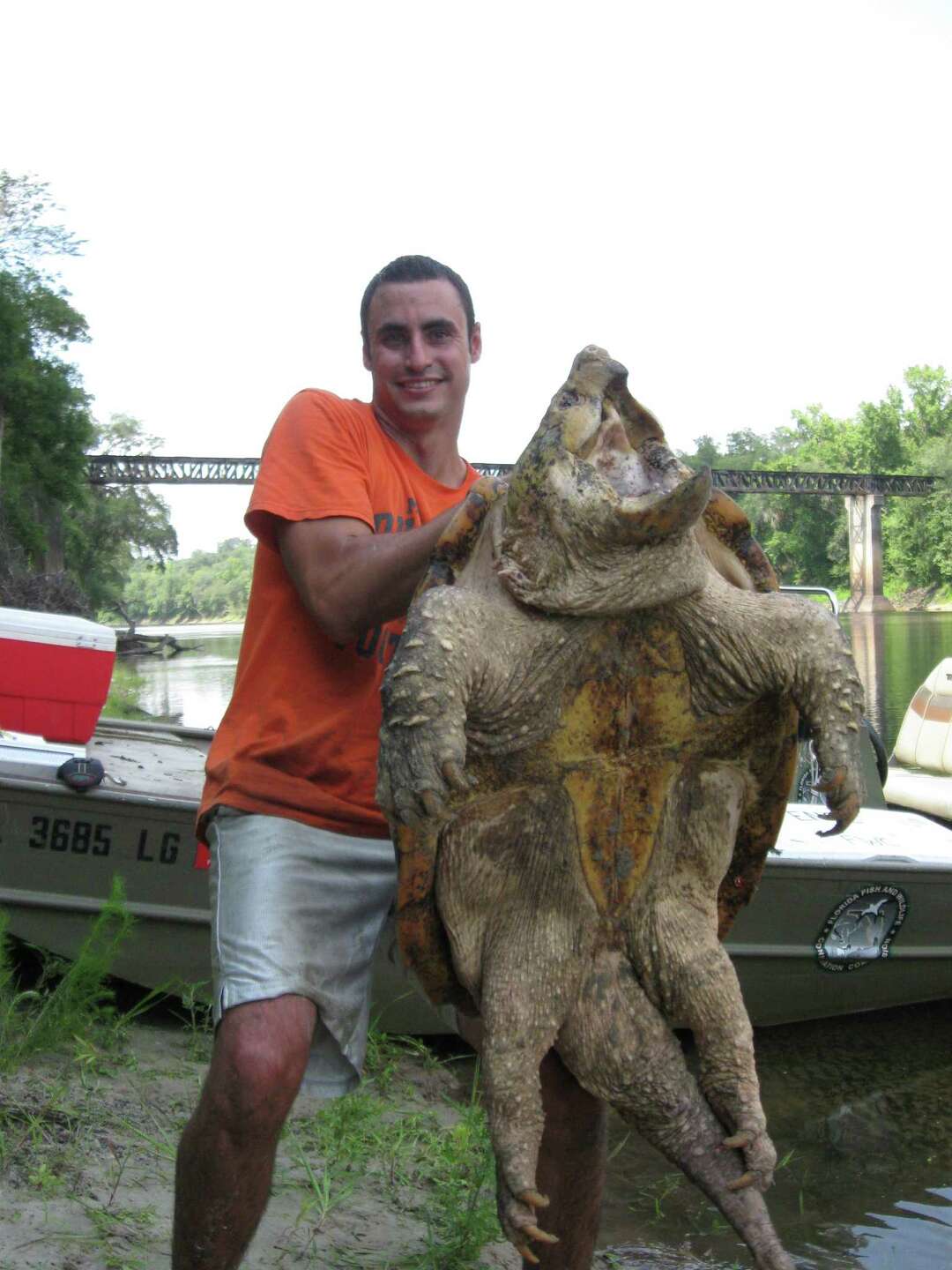 8 facts about a modern dinosaur — the alligator snapping turtle