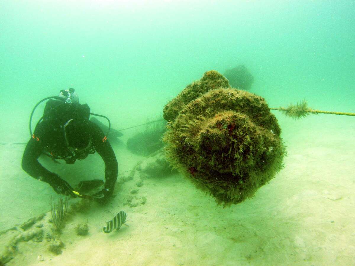 The shipwreck of the USS Narcissus sits in 15 feet of water near Tampa.