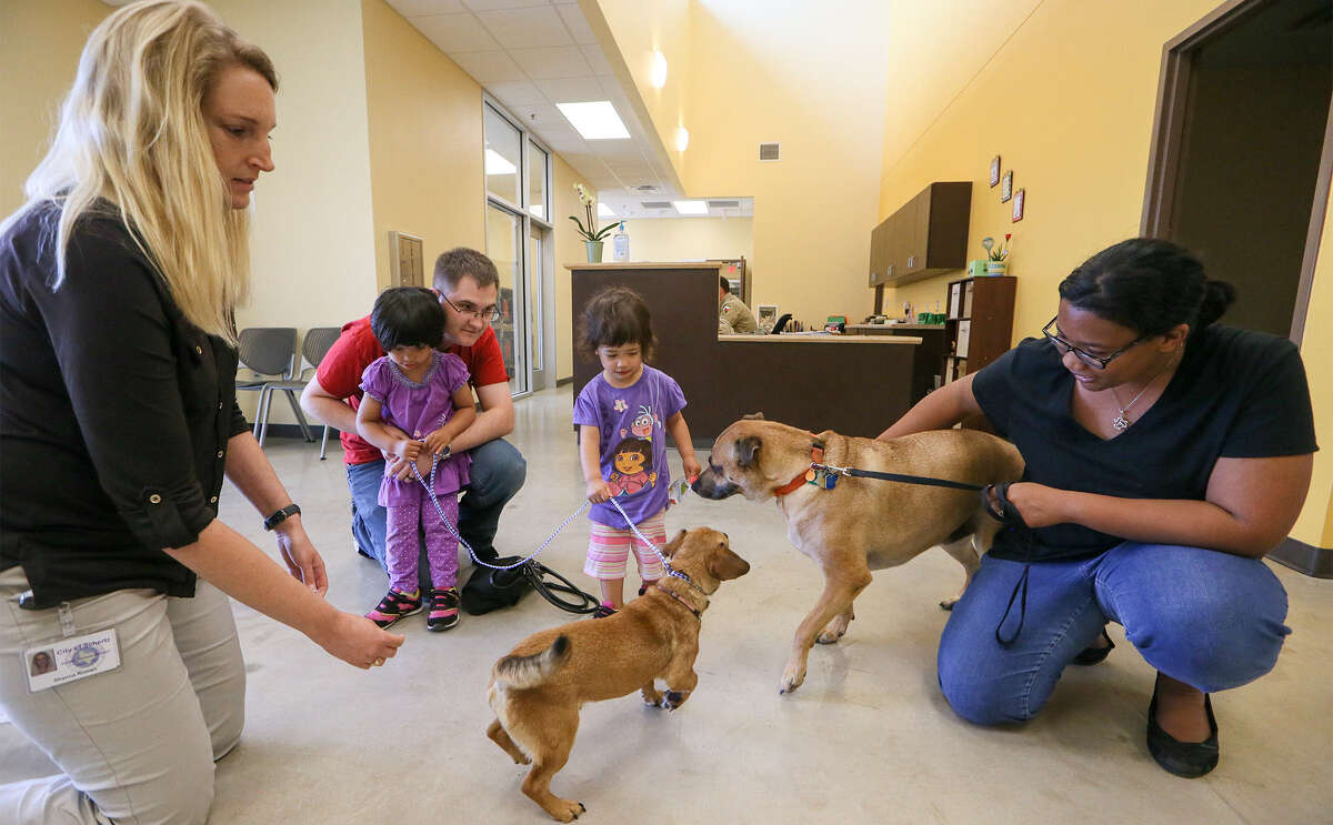 New Schertz animal adoption center provides better home for pets and strays