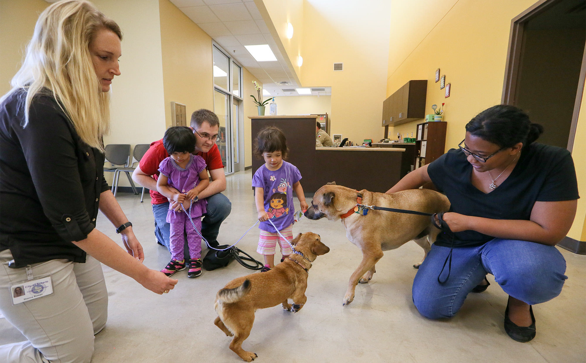 New Schertz Animal Adoption Center Provides Better Home For Pets And Strays
