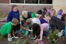 Parent Heather Rexrode, center, and Frostwood Elementary School pupils check for caterpillars on milkweed plantings in the school's garden.