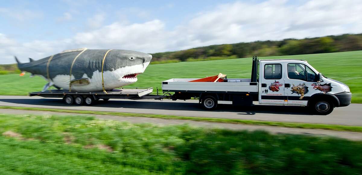 megalodon water truck