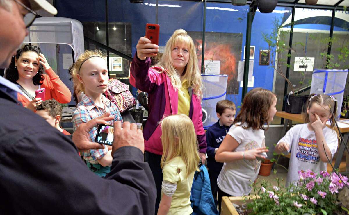 Photos Final days of butterfly magic