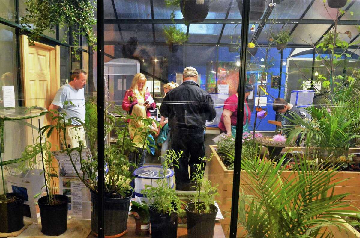 Photos Final days of butterfly magic