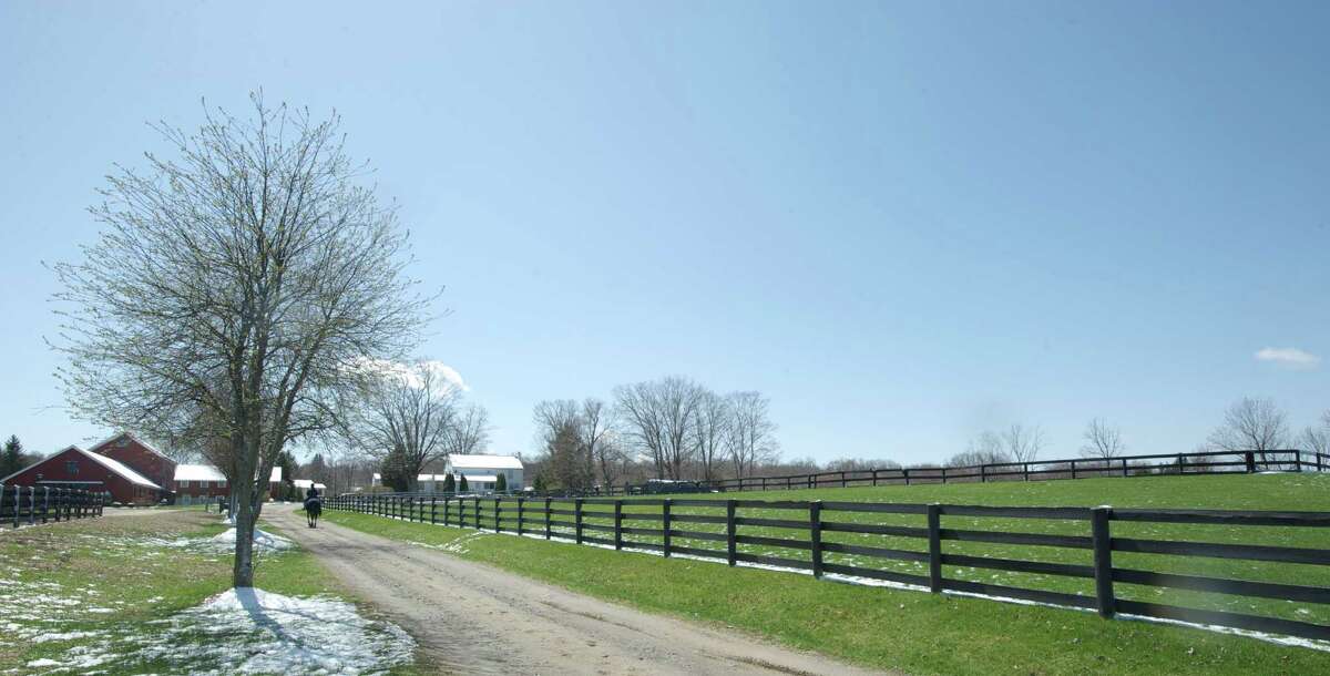 Spawning a new business