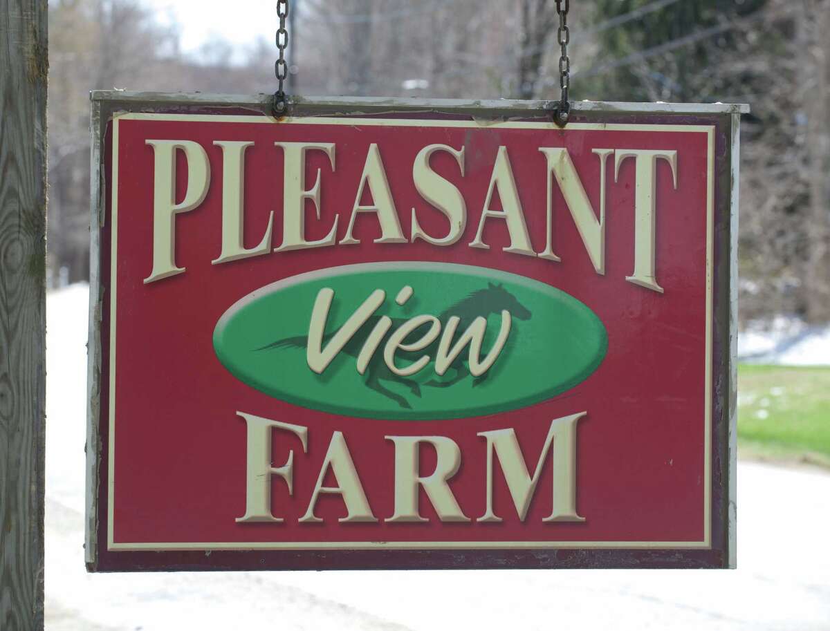 Spawning a new business