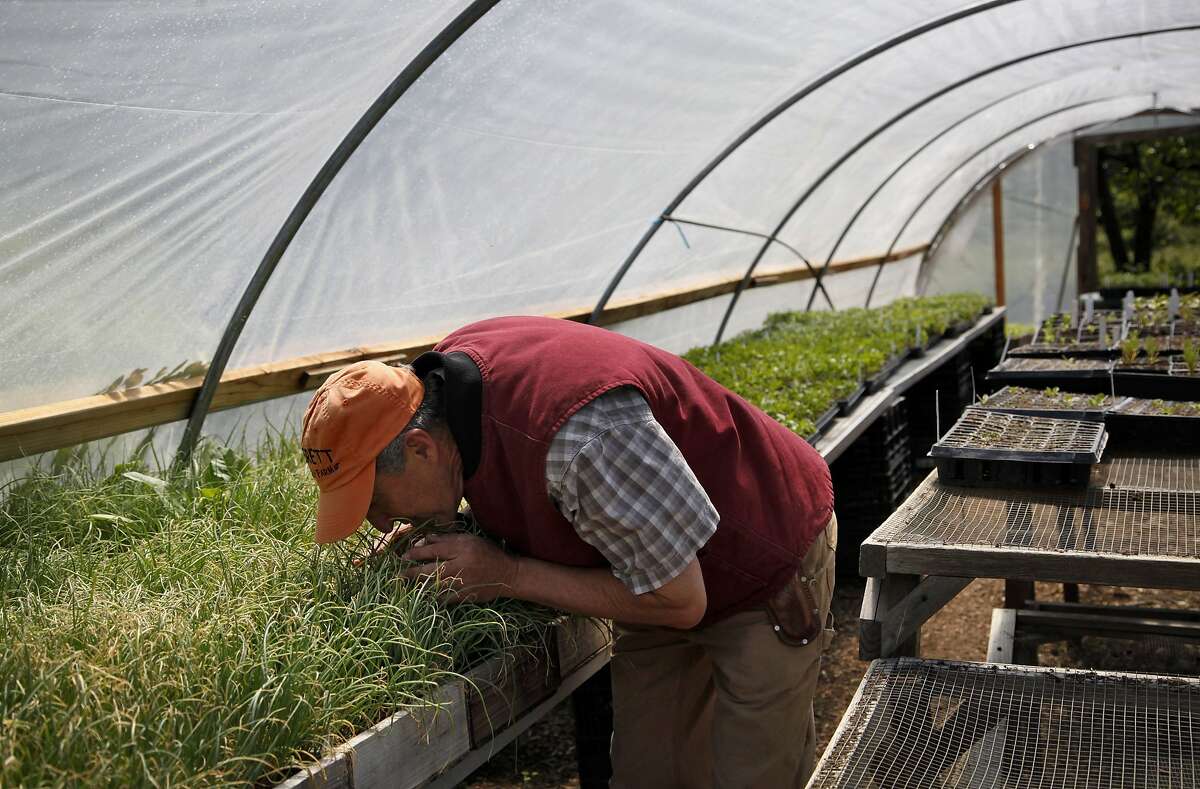 Growing more than just crops at Everett Family Farm