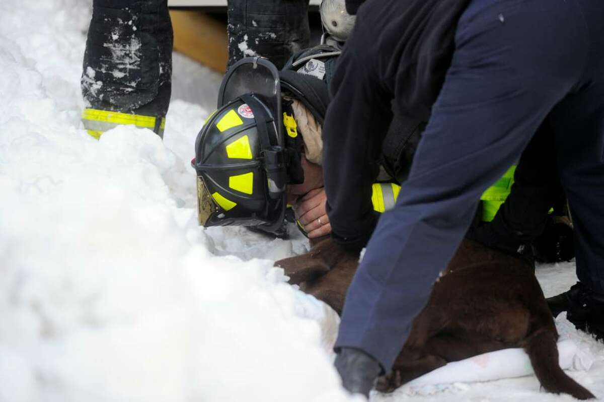 Greenwich Station One Central firefighter Jason James performs CPR on a dog they pulled from a structure fire at 295 Palmer Circle Thursday afternoon February 11, 2010.