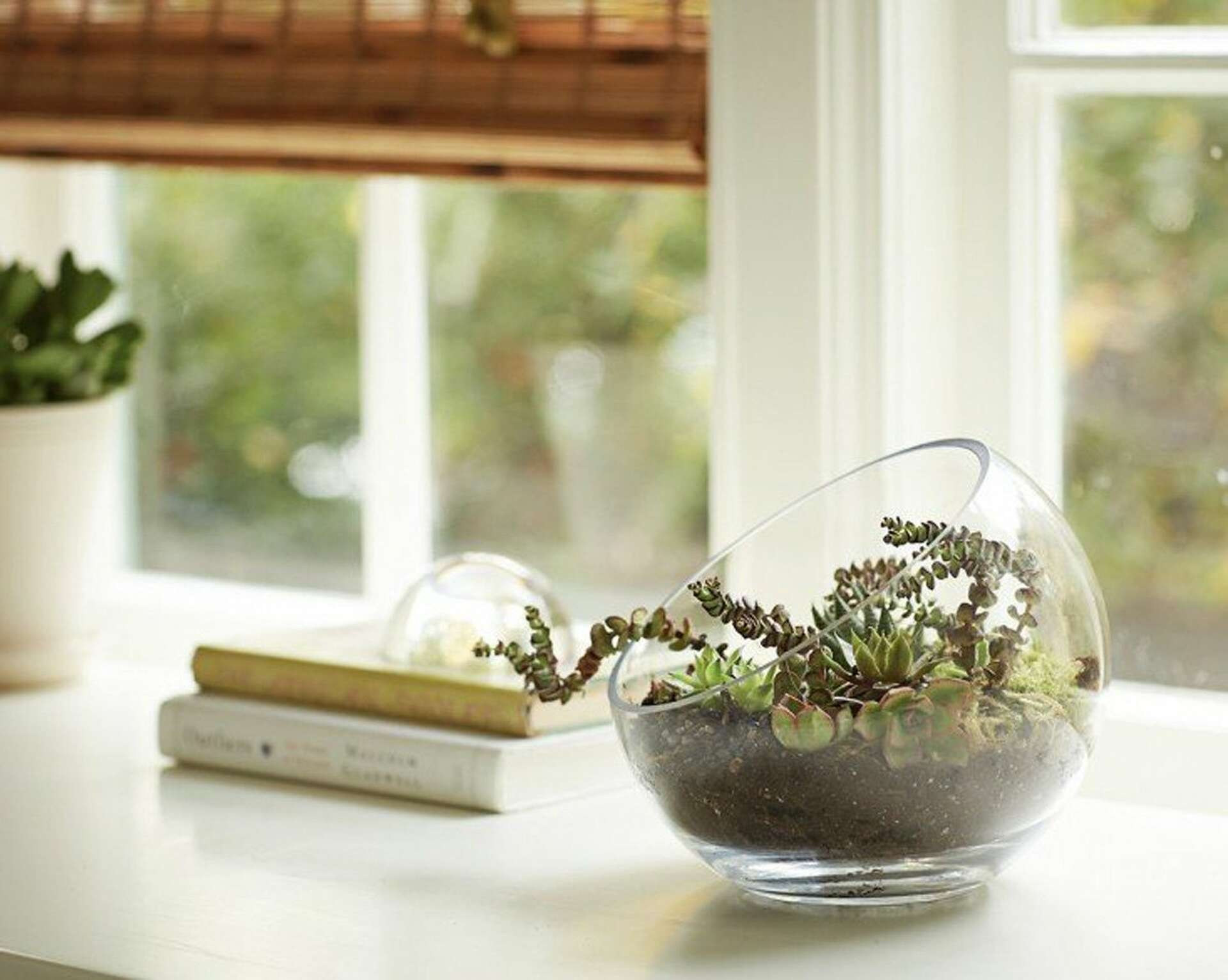 large indoor ceramic plant pots Aqua-Blue Modern Cylinder Pot main image 1