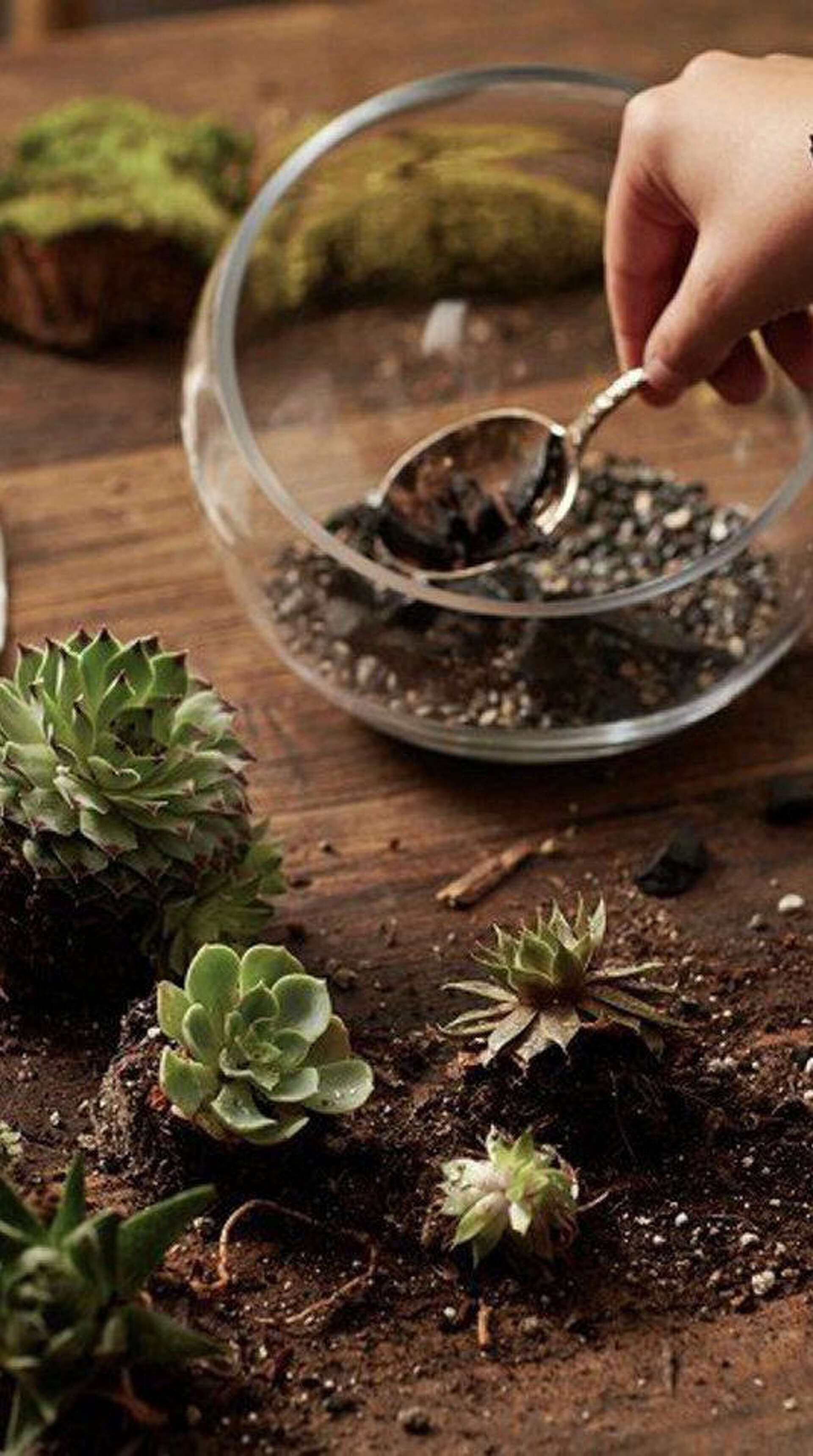flower pot ceramics Minimal Ceramic Planter - 6 inch main image 0