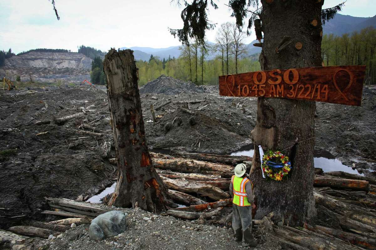 Ben Woodward looks up at a sign commemorating the moment of the Oso mudslide. The wooden memorial was attached to a towering spruce tree, one of the few in the debris field left standing after the disaster. The towering tree is already becoming a memorial to those killed and a sign of hope amid despair. The 22nd is the one month anniversary of the mudslide that killed a confirmed 41 people. Two are still on the missing person list. Photographed on Monday, April 21, 2014