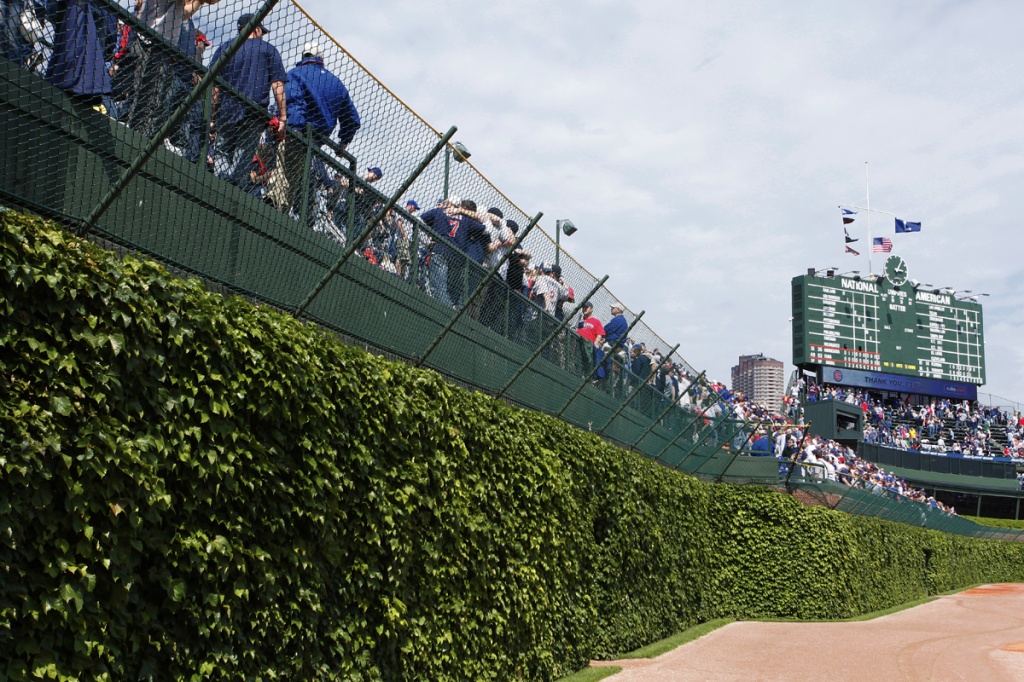 Wrigley Field Ivy Wall