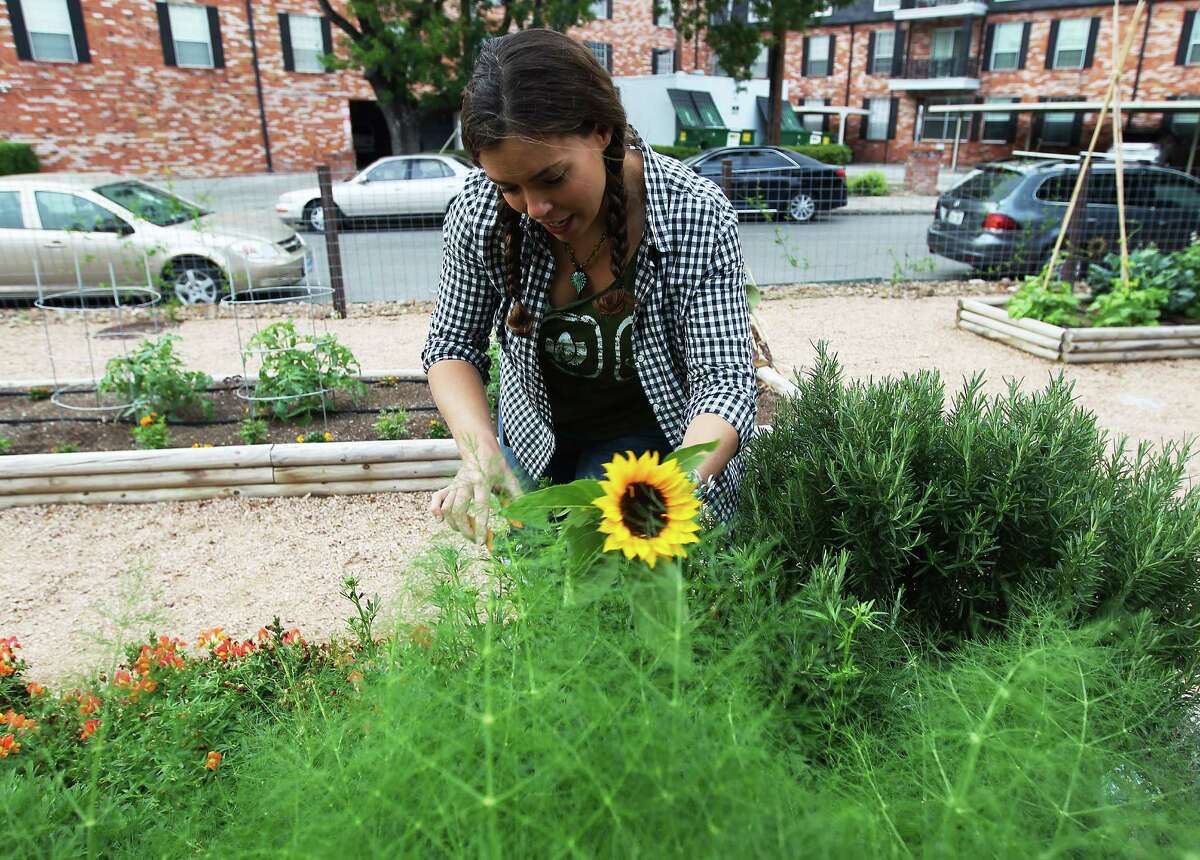 Therapeutic Garden Helps Heal Patients With Eating Disorders Therapeutic Garden Helps Heal Patients With Eating Disorders