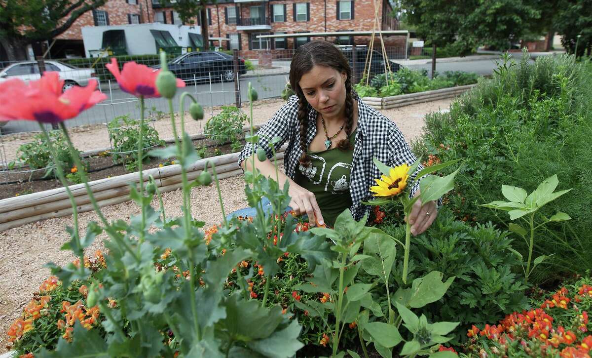 Therapeutic Garden Helps Heal Patients With Eating Disorders Therapeutic Garden Helps Heal Patients With Eating Disorders