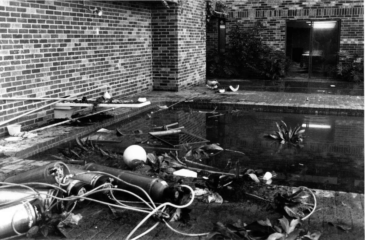 From the Houston Chronicle archive The street that led to murder