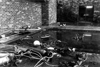 From The Houston Chronicle Archive The Street That Led To Murder