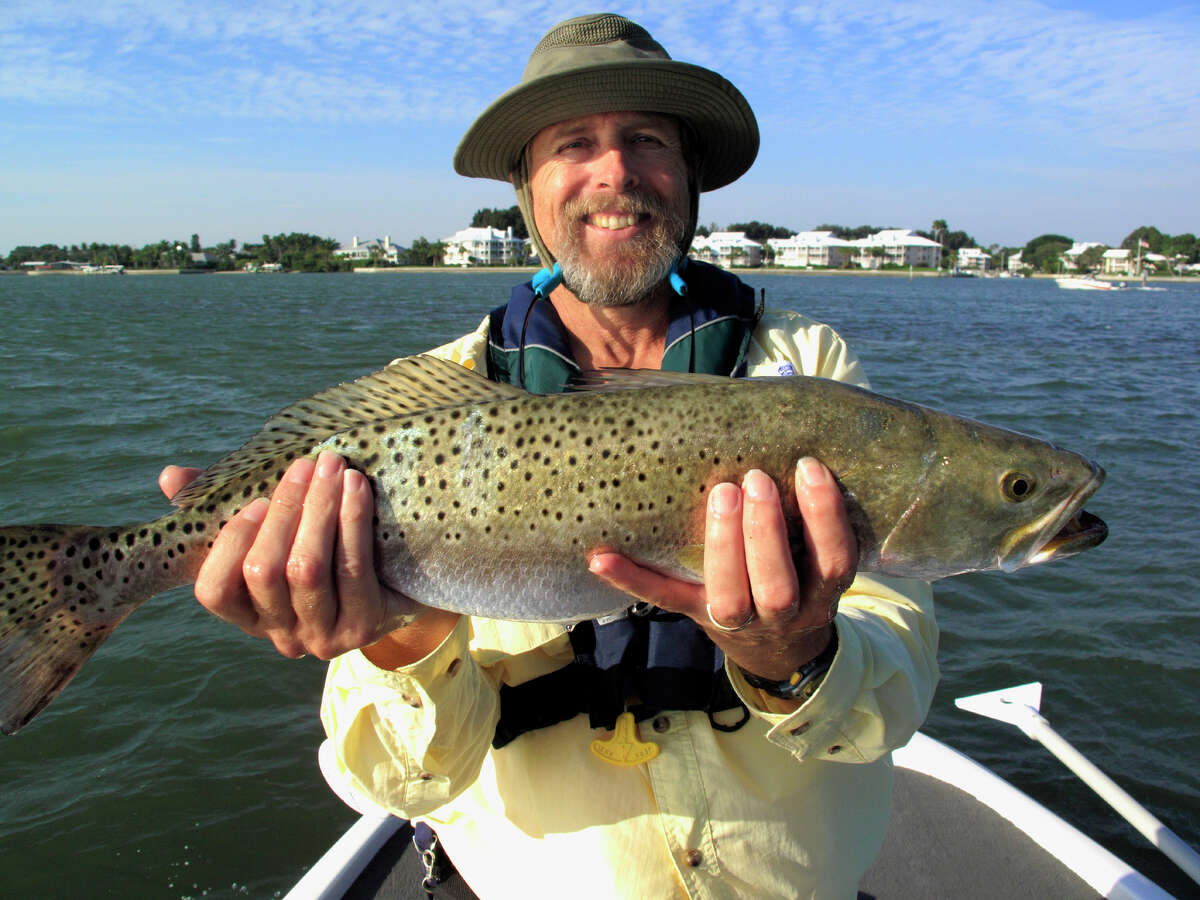 "Extending the 5 fish bag limit for spotted seatrout to the upper coast, creating a coast-wide 5 fish bag limit." Saltwater fishing regulation proposals for 2019-2020