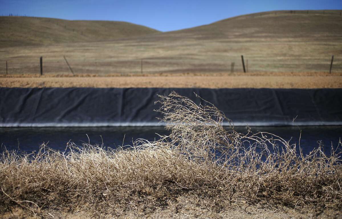 Tumbleweeds collect along the edge of a water canal April 18, 2014 west of I-5 nearest to Firebaugh, Calif. The historic drought combined with zero percent water allocation for farmers in the San Joaquin Valley means that many farmers are fallowing fields and many field workers are unemployed. In Mendota, a rural city of about 11,000 people about 35 miles west of Fresno, the jobless rate is 36 percent. Mayor Robert Silva is concerned that this summer it may reach as high as 50 percent. Jose Pineda Rivas, 61, came to the United States in 1988 and was joined by his wife 3 years ago. They left five children behind in El Salvador, who they send money to every month. Both Rivas and his wife work in the fields for their income. Right now neither of them have been able to find steady work and the stress is taking its toll. Rivas has been having trouble sleeping and eating due to a constantly upset stomach and a toothache he cannot afford to repair. "Our biggest worry is that tomorrow there is not going to be a job," said Rivas in Spanish through a translator. Though there are still precious few jobs this year in the fields, the streets of Mendota, which are usually empty in the middle of the day, are now haunted by people drifting up and down 7th Street, looking for work. Others families have already left to find work elsewhere. The schools have noticed a drop in attendance due to migration, 33 students have left with their families so far this year.