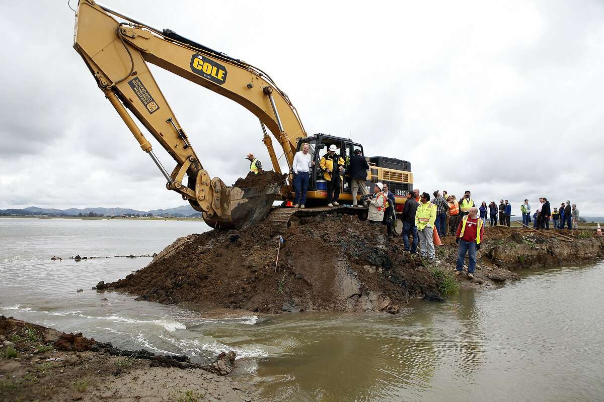 2014年4月25日，星期五，加利福尼亚州诺瓦托，一处湿地修复工程的堤坝被攻破，成群的人看着海湾的水流入汉密尔顿陆军机场。在一项正在进行的湿地恢复项目中，加利福尼亚州海岸保护协会和美国陆军工程兵团在汉密尔顿陆军机场的648英亩未使用土地上打开了一个堤坝，通往旧金山湾水域。
