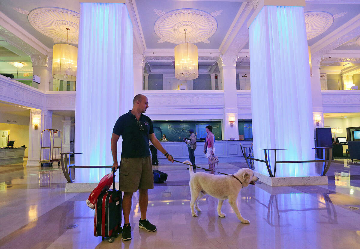 Doug Burgess, 37, waits with his 7-year-old Great Pyrenees, Atticus, in the lobby of the Sheraton Gunter Hotel on Thursday. Burgess, who's from Austin, was in San Antonio for Fiesta. The 104-year-old hotel unveiled a multimillion-dollar renovation last week that includes columns covered in white sheets and lighting that changes colors.